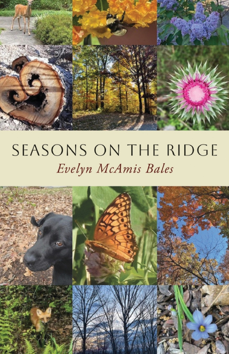 Livro Seasons on the Ridge Evelyn McAmis Bales