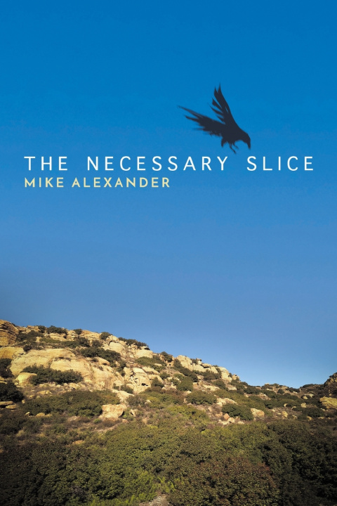 Carte The Necessary Slice Mike Alexander