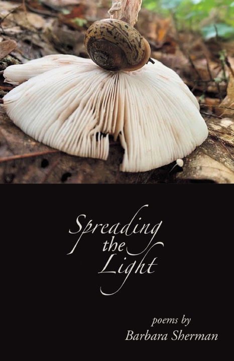 Carte Spreading the Light Barbara Sherman
