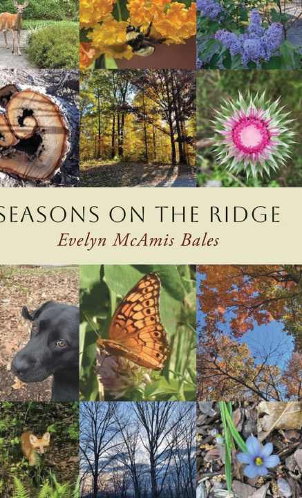 Libro Seasons on the Ridge Evelyn McAmis Bales