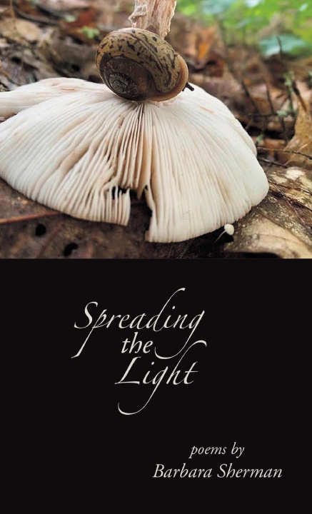 Carte Spreading the Light Barbara Sherman