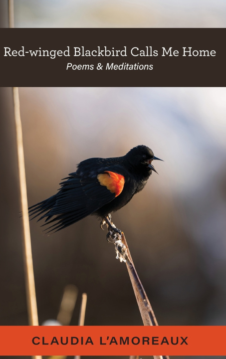 Kniha Red-winged Blackbird Calls Me Home Claudia L'Amoreaux