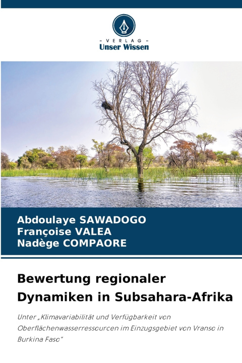 Kniha Bewertung regionaler Dynamiken in Subsahara-Afrika Abdoulaye Sawadogo