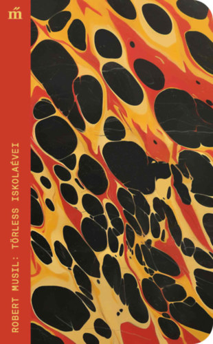 Boek Törless iskolaévei Robert Musil