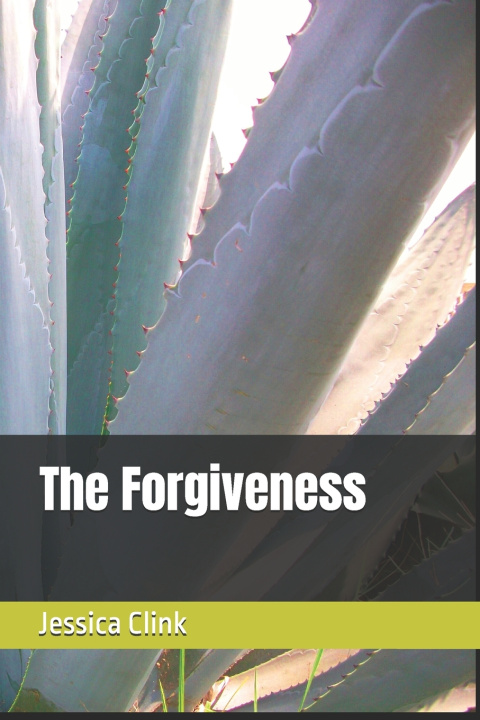 Libro The Forgiveness Jessica Renee Clink