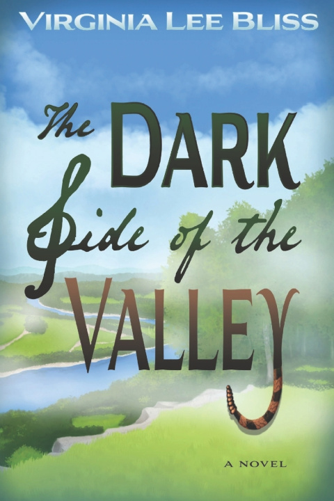 Kniha The Dark Side of the Valley Virginia Bliss