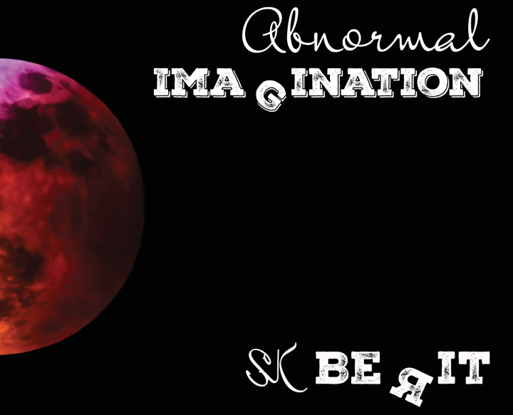 Boek Abnormal Imagination SK Berit