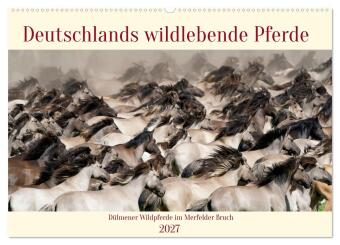 Kalender/Terminbuch Deutschlands wildlebende Pferde (Wandkalender 2027 DIN A2 quer), CALVENDO Monatskalender Calvendo