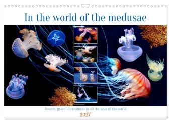 Kalender/Terminbuch In the world of the medusae (Wall Calendar 2027 DIN A3 landscape), CALVENDO 12 Month Wall Calendar Calvendo