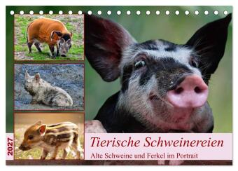 Kalendář/Diář Tierische Schweinereien (Tischkalender 2027 DIN A5 quer), CALVENDO Monatskalender Calvendo