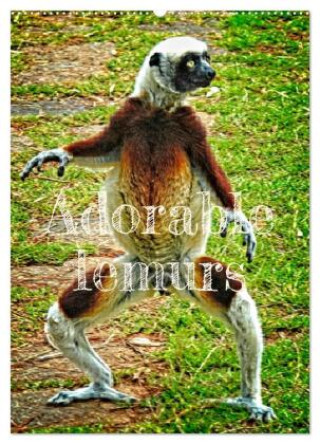 Naptár/Határidőnapló Adorable lemurs (Wall Calendar 2027 DIN A2 portrait), CALVENDO 12 Month Wall Calendar Calvendo