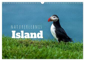 Kalender/agenda Naturerlebnis Island (Wandkalender 2027 DIN A3 quer), CALVENDO Monatskalender Calvendo