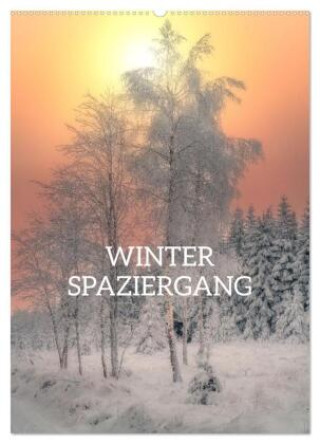 Kalender/Terminbuch Winter Spaziergang (Wandkalender 2027 DIN A2 hoch), CALVENDO Monatskalender Calvendo
