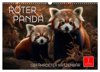 Kalendár/Diár Roter Panda - gefährdeter Katzenbär (Wandkalender 2027 DIN A3 quer), CALVENDO Monatskalender Calvendo