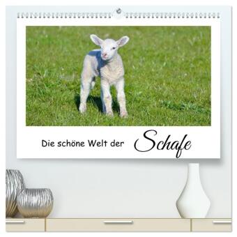 Kalendář/Diář Die schöne Welt der Schafe (hochwertiger Premium Wandkalender 2027 DIN A2 quer), Kunstdruck in Hochglanz Calvendo
