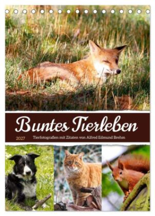 Kalendář/Diář Buntes Tierleben (Tischkalender 2027 DIN A5 hoch), CALVENDO Monatskalender Calvendo