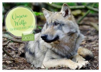Naptár/Határidőnapló Unsere Wölfe - Ein Wildtier kehrt zurück (Wandkalender 2027 DIN A2 quer), CALVENDO Monatskalender Calvendo