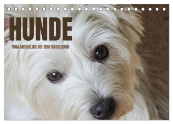 Kalender/Terminbuch Hunde - vom Mischling bis zum Rassehund (Tischkalender 2027 DIN A5 quer), CALVENDO Monatskalender Calvendo