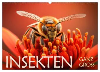 Kalendár/Diár Insekten ganz gross (Wandkalender 2027 DIN A2 quer), CALVENDO Monatskalender Calvendo
