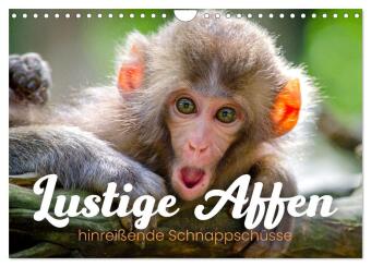 Kalender/agenda Lustige Affen - hinreißende Schnappschüsse (Wandkalender 2027 DIN A4 quer), CALVENDO Monatskalender Calvendo