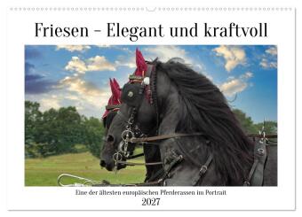 Kalender/Terminbuch Friesen - elegant und kraftvoll (Wandkalender 2027 DIN A2 quer), CALVENDO Monatskalender Calvendo