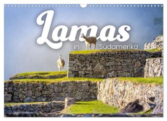 Kalender/agenda Lamas in Südamerika (Wandkalender 2027 DIN A3 quer), CALVENDO Monatskalender Calvendo