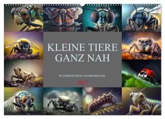 Kalendář/Diář Kleine Tiere ganz nah (Wandkalender 2027 DIN A2 quer), CALVENDO Monatskalender Calvendo
