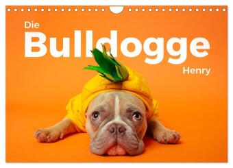 Kalendár/Diár Die Bulldogge Henry (Wandkalender 2027 DIN A4 quer), CALVENDO Monatskalender Calvendo