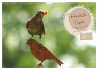 Kalender/agenda Heimische Vögel - Im Wald, im Garten und auf der Wiese (Wandkalender 2027 DIN A3 quer), CALVENDO Monatskalender Calvendo