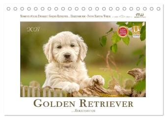 Kalender/Terminbuch Golden Retriever... Herzenshunde (Tischkalender 2027 DIN A5 quer), CALVENDO Monatskalender Calvendo
