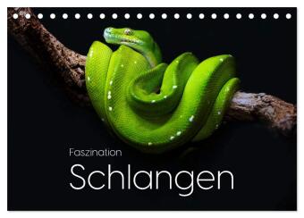 Календар/тефтер Faszination Schlangen (Tischkalender 2027 DIN A5 quer), CALVENDO Monatskalender Calvendo