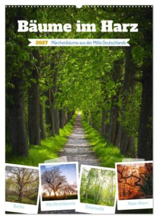 Kalender/Terminbuch Bäume im Harz (Wandkalender 2027 DIN A2 hoch), CALVENDO Monatskalender Calvendo