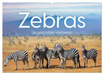 Kalender/Terminbuch Zebras - Die gestreiften Vierbeiner. (Wandkalender 2027 DIN A2 quer), CALVENDO Monatskalender Calvendo