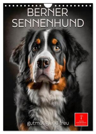 Naptár/Határidőnapló Berner Sennenhund - gutmütig und treu (Wandkalender 2027 DIN A4 hoch), CALVENDO Monatskalender Calvendo