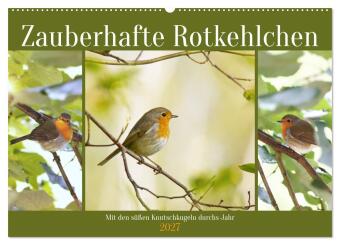 Kalender/agenda Zauberhafte Rotkehlchen (Wandkalender 2027 DIN A2 quer), CALVENDO Monatskalender Calvendo