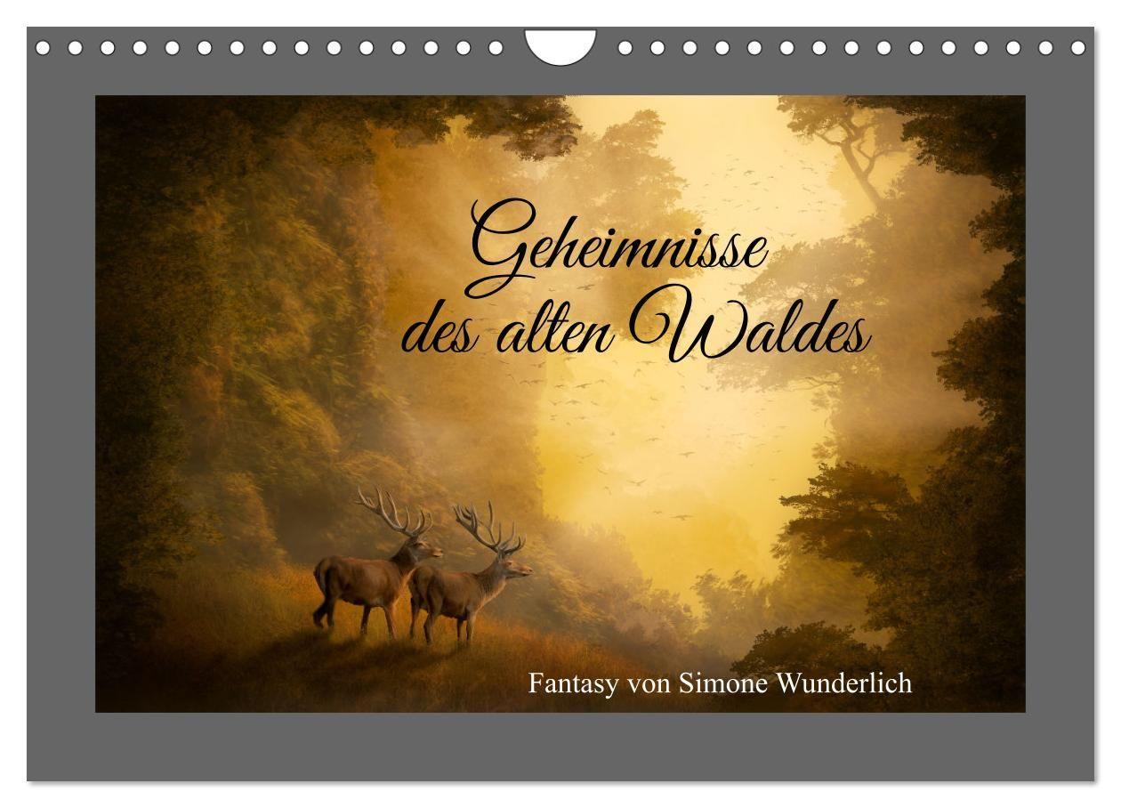 Kalendár/Diár Geheimnisse des alten Waldes (Wandkalender 2027 DIN A4 quer), CALVENDO Monatskalender Calvendo