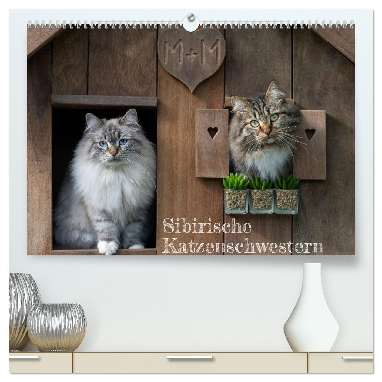 Kalender/Terminbuch Maui und Molokai - Sibirische Katzenschwestern (hochwertiger Premium Wandkalender 2027 DIN A2 quer), Kunstdruck in Hochglanz Calvendo