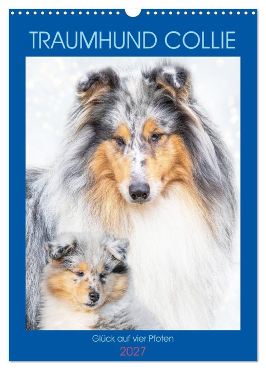 Kalender/agenda Traumhund Collie - Glück auf vier Pfoten (Wandkalender 2027 DIN A3 hoch), CALVENDO Monatskalender Calvendo