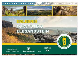 Kalendár/Diár Erlebnis Forststeig Elbsandstein (Wandkalender 2027 DIN A4 quer), CALVENDO Monatskalender Calvendo