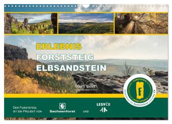 Kalendář/Diář Erlebnis Forststeig Elbsandstein (Wandkalender 2027 DIN A3 quer), CALVENDO Monatskalender Calvendo