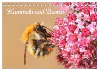 Kalendář/Diář Hummeln und Bienen (Tischkalender 2027 DIN A5 quer), CALVENDO Monatskalender Calvendo