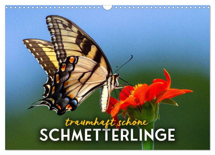 Kalender/Terminbuch Traumhaft schöne Schmetterlinge (Wandkalender 2027 DIN A3 quer), CALVENDO Monatskalender Calvendo