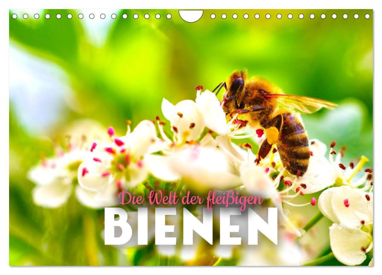 Kalender/Terminbuch Die Welt der fleißigen Bienen (Wandkalender 2027 DIN A4 quer), CALVENDO Monatskalender Calvendo