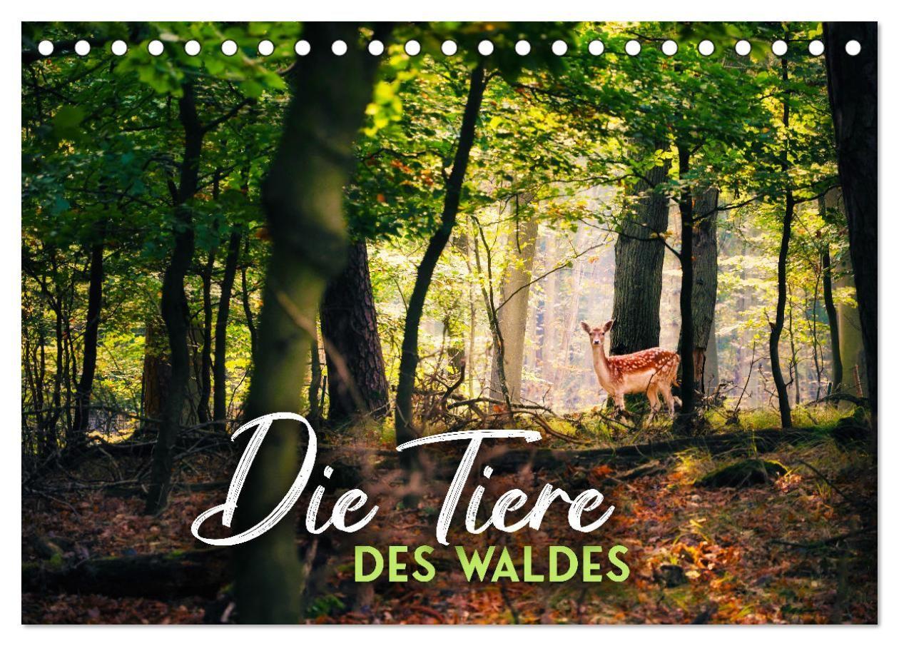 Kalender/agenda Die Tiere des Waldes (Tischkalender 2027 DIN A5 quer), CALVENDO Monatskalender Calvendo