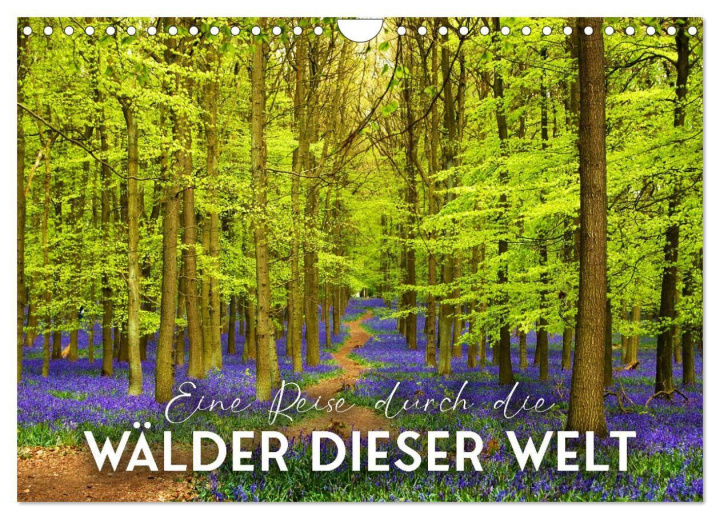 Kalendár/Diár Eine Reise durch die Wälder dieser Welt (Wandkalender 2027 DIN A4 quer), CALVENDO Monatskalender Calvendo
