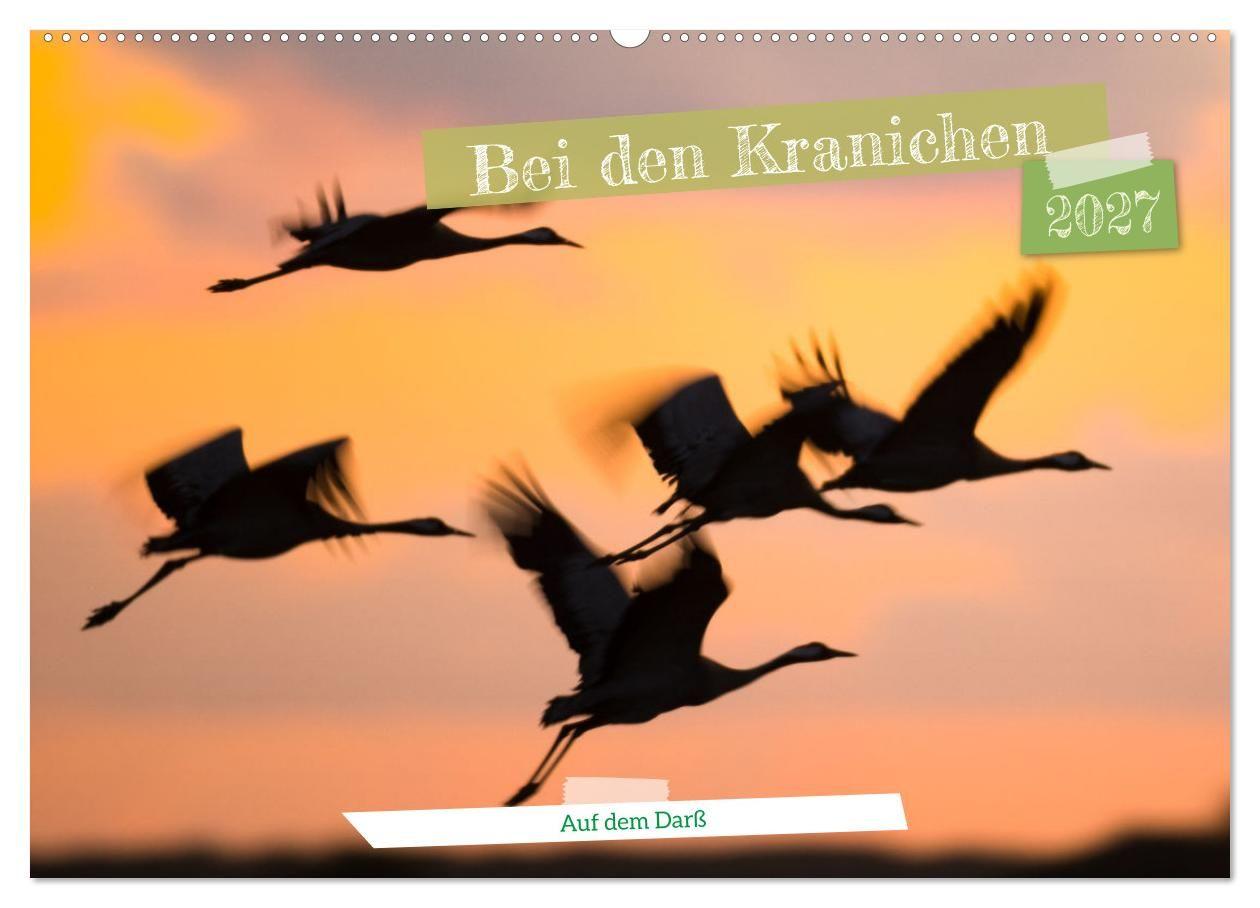Calendar / Agendă Bei den Kranichen (Wandkalender 2027 DIN A2 quer), CALVENDO Monatskalender Calvendo