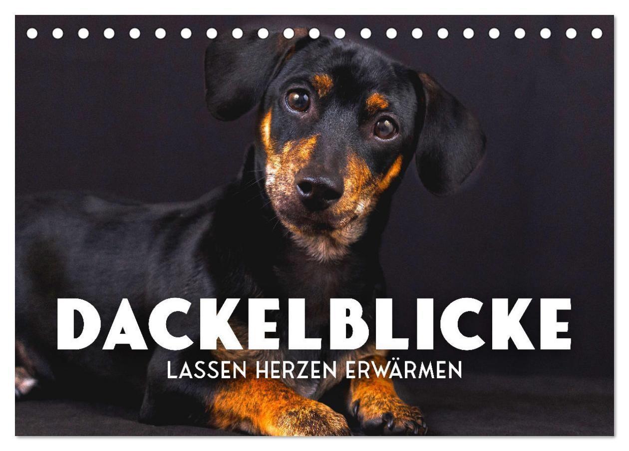 Kalender/agenda Dackelblicke - Lassen Herzen erwärmen. (Tischkalender 2027 DIN A5 quer), CALVENDO Monatskalender Calvendo