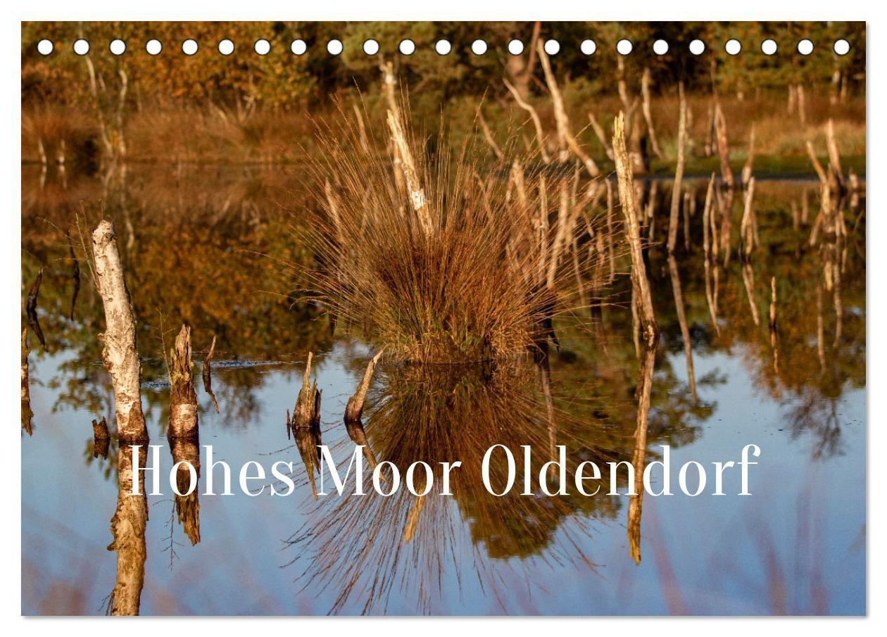 Kalender/agenda Hohes Moor Oldendorf (Tischkalender 2027 DIN A5 quer), CALVENDO Monatskalender Calvendo
