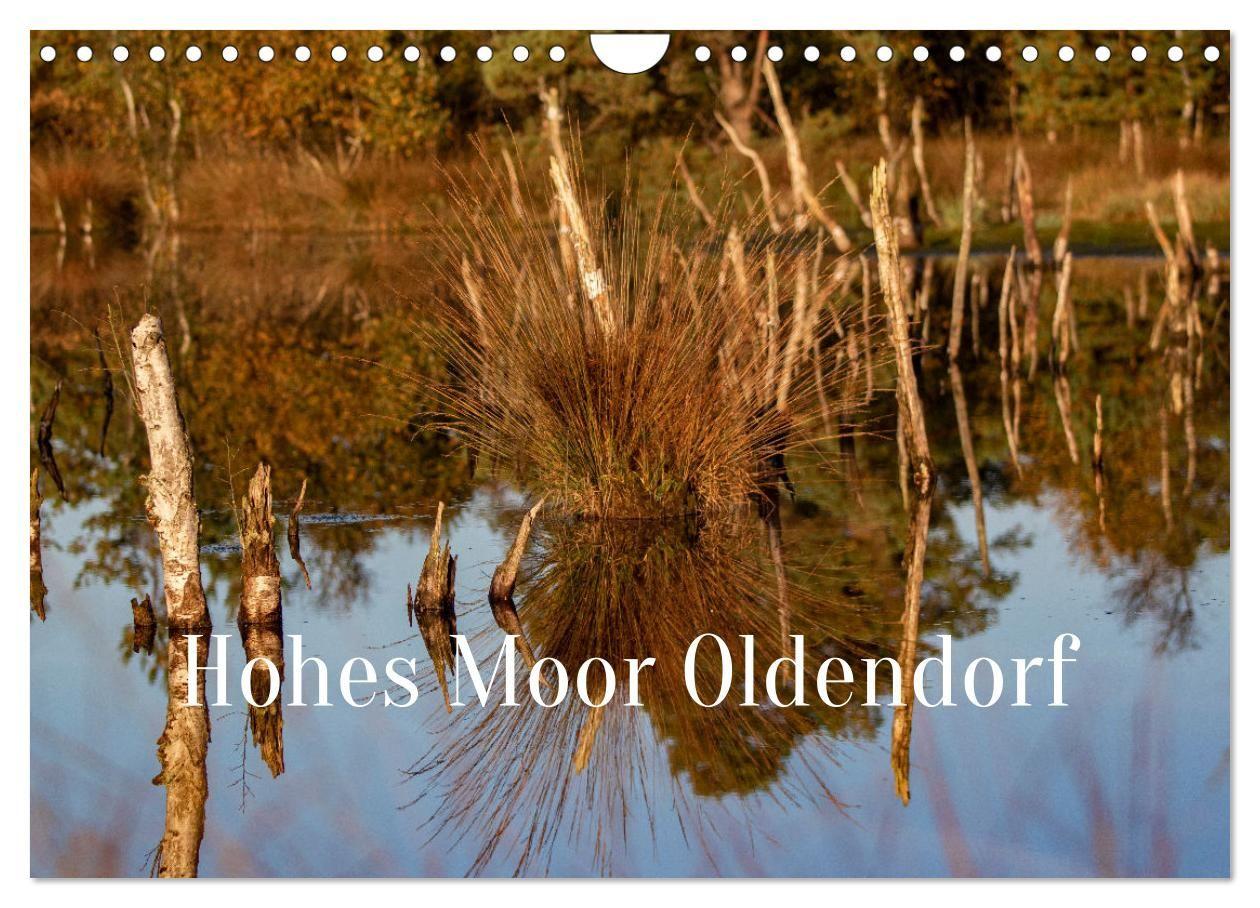 Kalender/Terminbuch Hohes Moor Oldendorf (Wandkalender 2027 DIN A4 quer), CALVENDO Monatskalender Calvendo
