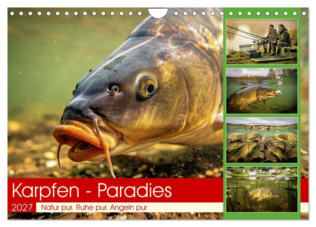 Calendário/Diário Karpfen - Paradies (Wandkalender 2027 DIN A4 quer), CALVENDO Monatskalender Calvendo
